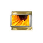 Wet Yellow Flowers 3  Gold Trim Italian Charm (9mm)