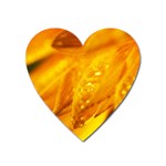 Wet Yellow Flowers 1   Magnet (Heart)