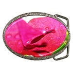 Wet Pink Rose  Belt Buckle