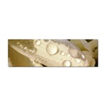 Water Drops on Flower 5  Sticker Bumper (100 pack)