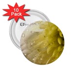 Water Drops on Flower 4  2.25  Button (10 pack)
