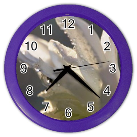 Water Drops on Flower 2  Color Wall Clock from ArtsNow.com Front