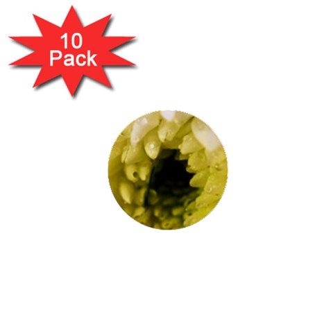 Water Drops on Flower 3   1  Mini Button (10 pack)  from ArtsNow.com Front