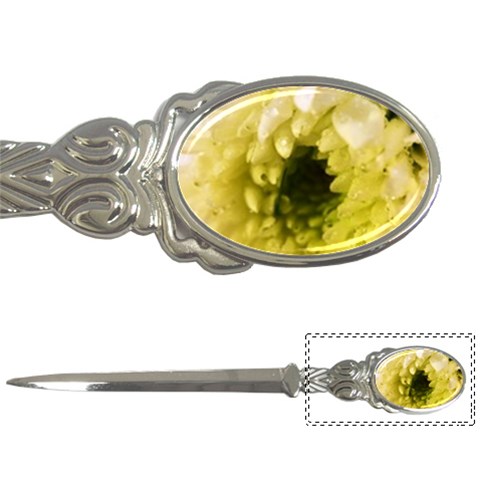 Water Drops on Flower 3   Letter Opener from ArtsNow.com Front