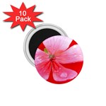 Water and Pink Flower  1.75  Magnet (10 pack) 