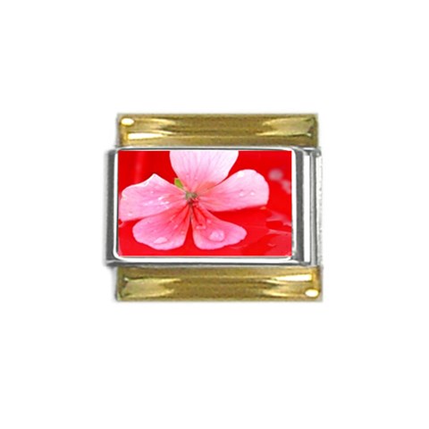 Water and Pink Flower  Gold Trim Italian Charm (9mm) from ArtsNow.com Front