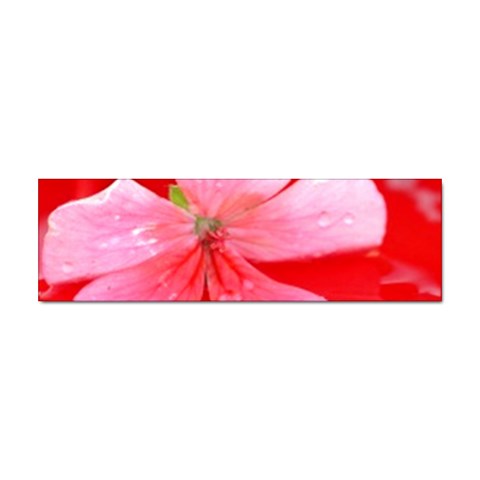 Water and Pink Flower  Sticker Bumper (100 pack) from ArtsNow.com Front