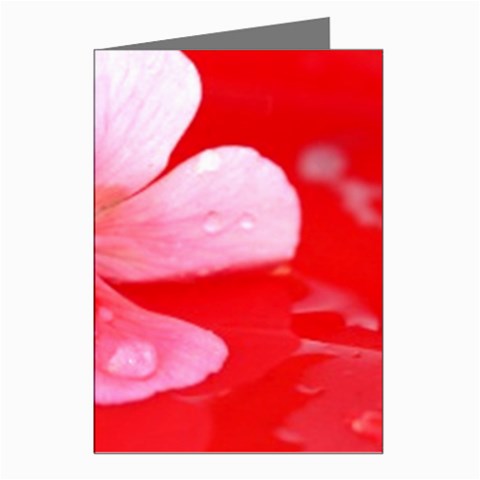 Water and Pink Flower  Greeting Cards (Pkg of 8) from ArtsNow.com Left