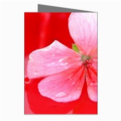 Water and Pink Flower  Greeting Cards (Pkg of 8) from ArtsNow.com Right