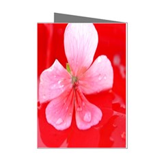 Water and Pink Flower  Mini Greeting Cards (Pkg of 8) from ArtsNow.com Left