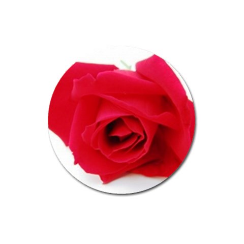 Very Red Rose  Magnet 3  (Round) from ArtsNow.com Front