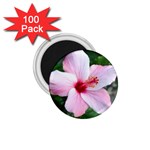 Very Pink Flower  1.75  Magnet (100 pack) 