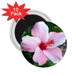 Very Pink Flower  2.25  Magnet (10 pack)