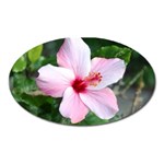 Very Pink Flower  Magnet (Oval)