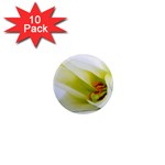 The White Flower  1  Mini Magnet (10 pack) 