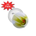 The White Flower  1.75  Button (10 pack) 
