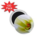 The White Flower  1.75  Magnet (100 pack) 