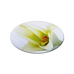 The White Flower  Sticker (Oval)