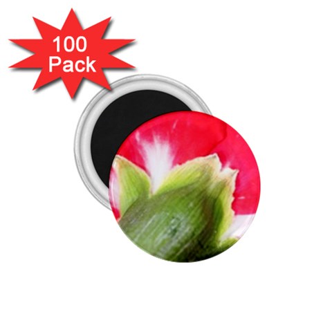 The Red Flower 2  1.75  Magnet (100 pack)  from ArtsNow.com Front