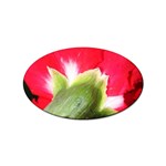 The Red Flower 2  Sticker (Oval)