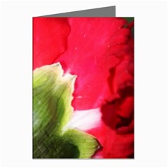 The Red Flower 2  Greeting Cards (Pkg of 8) from ArtsNow.com Left
