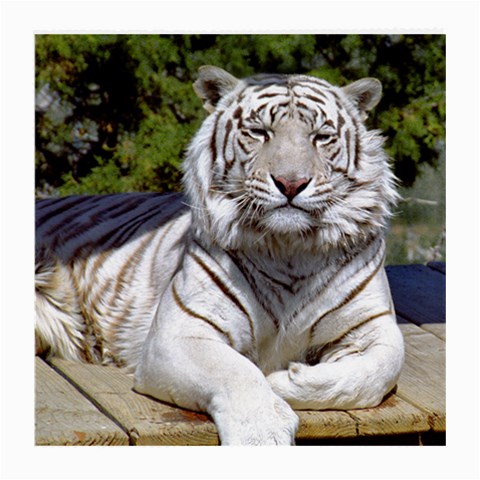 White Tiger 9 Glasses Cloth (Medium) from ArtsNow.com Front
