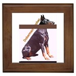 Doberman Pinscher Dog M2 Framed Tile
