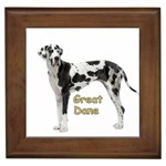 Great Dane Dog Framed Tile