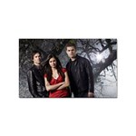 vampire-diaries-pics11 Sticker (Rectangular)