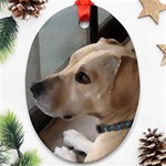 Fun puppy Ornament (Oval)