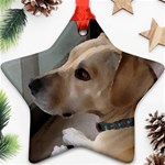 Fun puppy Ornament (Star)