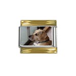 Fun puppy Gold Trim Italian Charm (9mm)