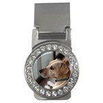 Fun puppy Money Clip (CZ)