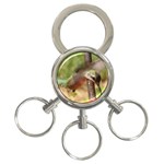 Hummingbird 3-Ring Key Chain