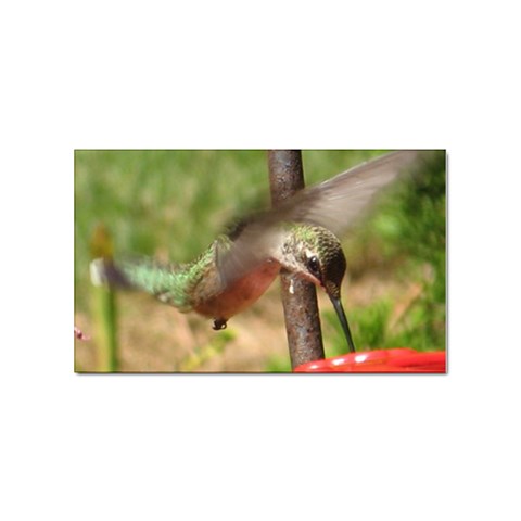Hummingbird Sticker Rectangular (10 pack) from ArtsNow.com Front