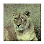 Lioness Tile Coaster