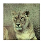 Lioness Tile Coaster