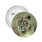 Lioness 2.25  Button