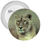 Lioness 3  Button