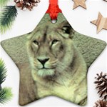 Lioness Ornament (Star)