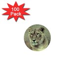 Lioness 1  Mini Button (100 pack) 