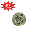 Lioness 1  Mini Magnet (100 pack) 