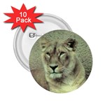 Lioness 2.25  Button (10 pack)
