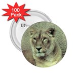 Lioness 2.25  Button (100 pack)