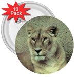 Lioness 3  Button (10 pack)