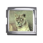 Lioness Mega Link Italian Charm (18mm)