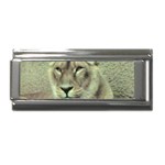 Lioness Superlink Italian Charm (9mm)