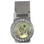 Lioness Money Clip (CZ)