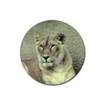 Lioness Rubber Round Coaster (4 pack)