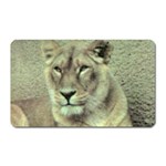 Lioness Magnet (Rectangular)